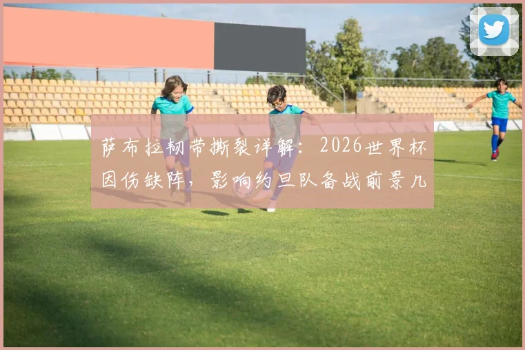 萨布拉韧带撕裂详解:2026世界杯因伤缺阵,影响约旦队备战前景几何?